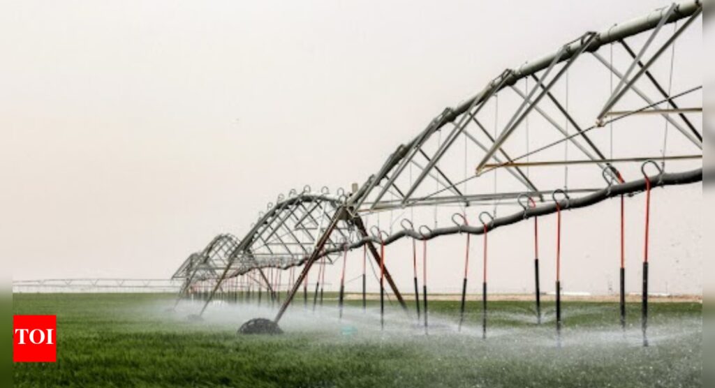 Iraq farmers turn to groundwater to boost desert yields |