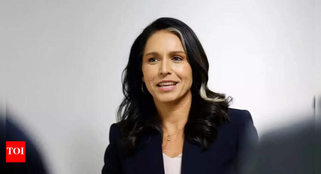 Tulsi Gabbard on whether she would run for president in 2028: ‘I will never…’