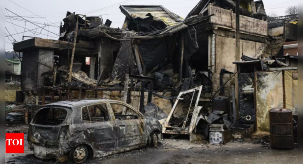 Climate change made fire conditions twice as likely in South Korea blazes: Study |