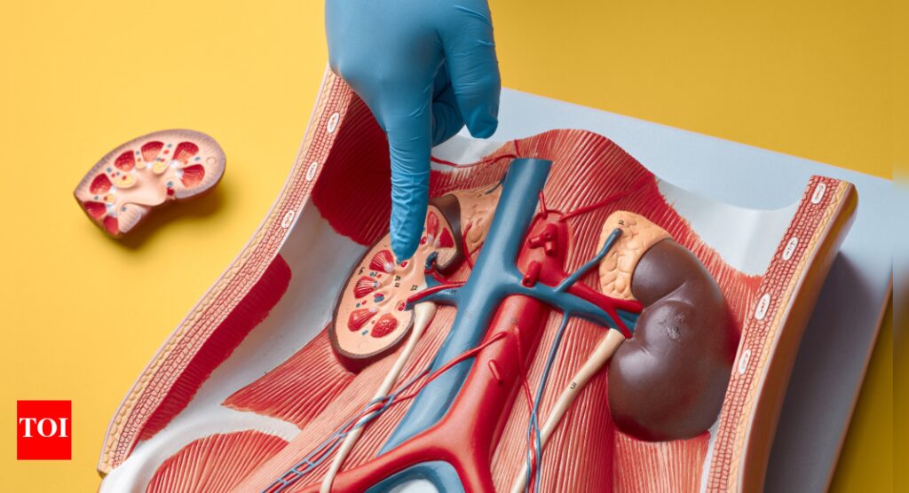 Are your kidneys ok? Signs your kidneys might be in trouble