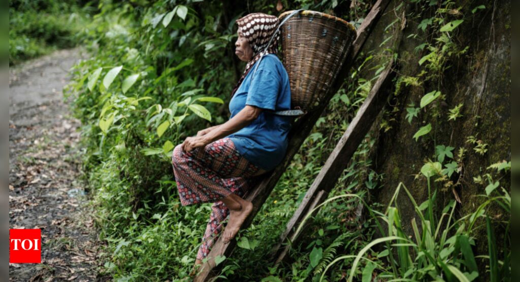 Climate change takes spice from Indonesia clove farms | World News