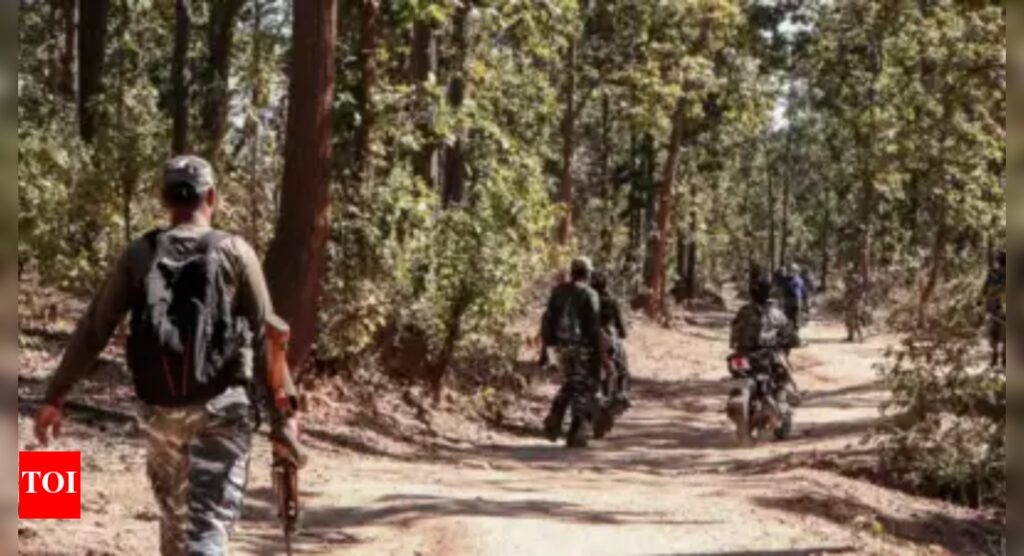‘Detrimental to national security’: CRPF jawan dismissed for hiding marriage to Pakistani woman | India News