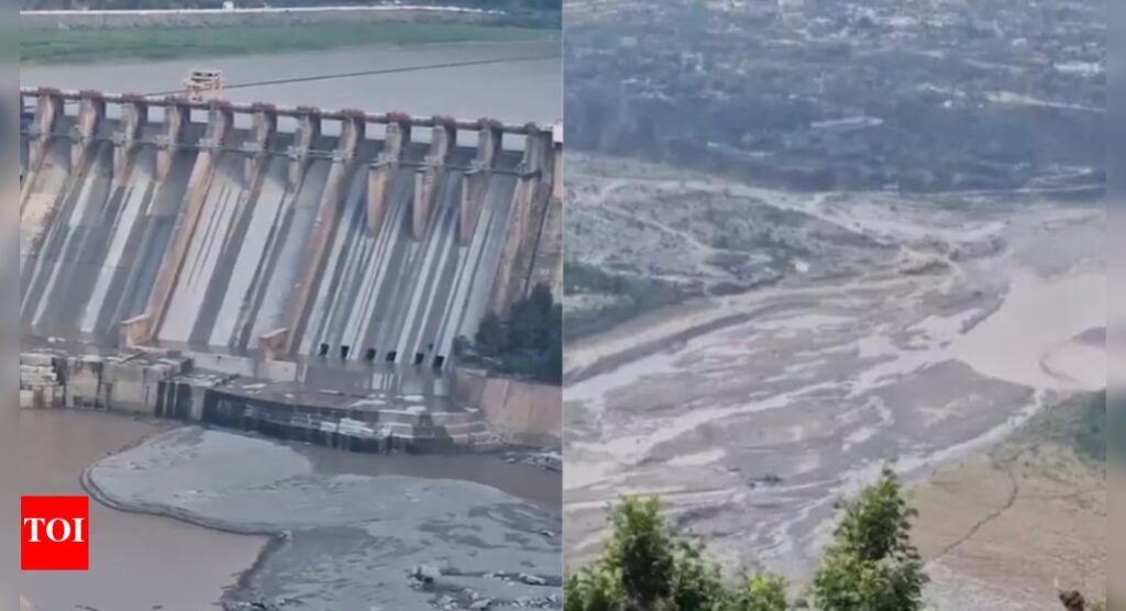 India prepares dams to store more water, lines up multiple actions to choke Pak | India News