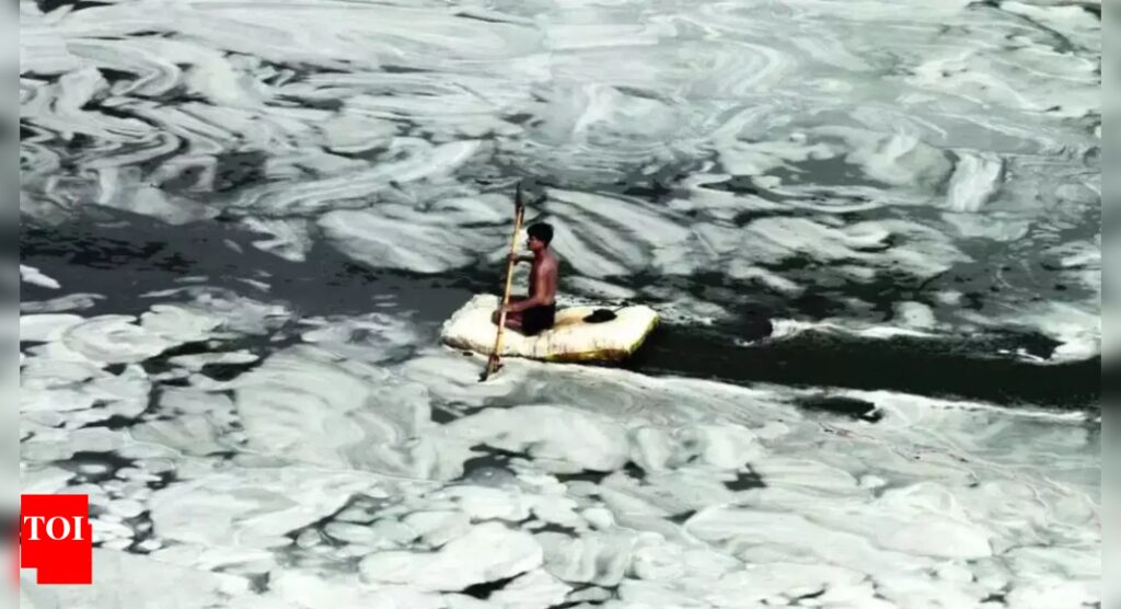Delhi Jal Board plots a cleaner course for Yamuna | Delhi News