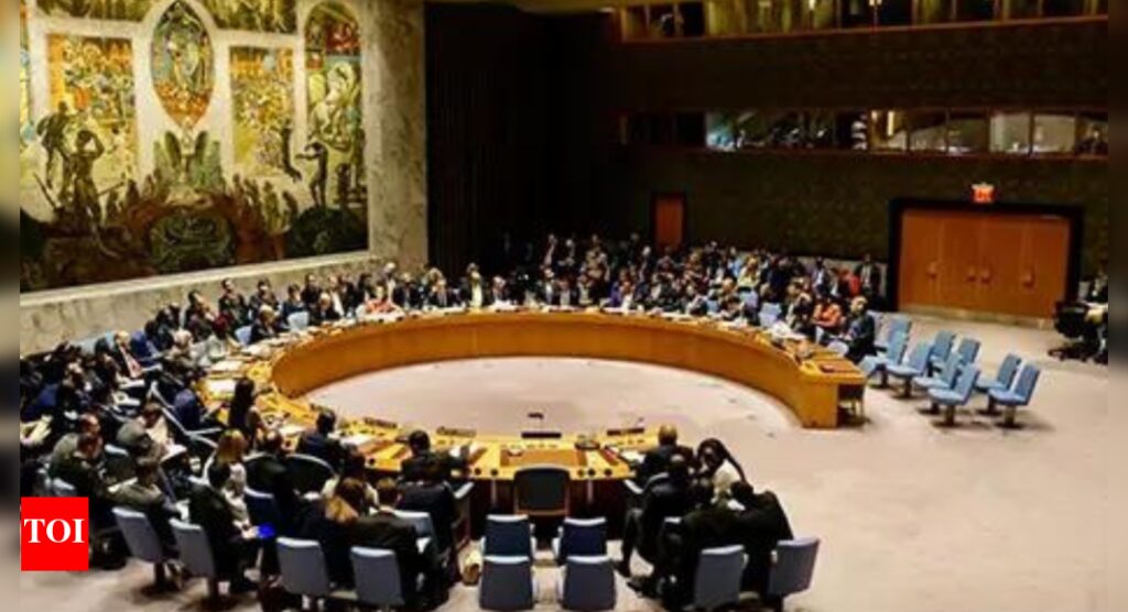 Pakistan tries to up ante but UNSC seeks accountability for Pahalgam attack | India News