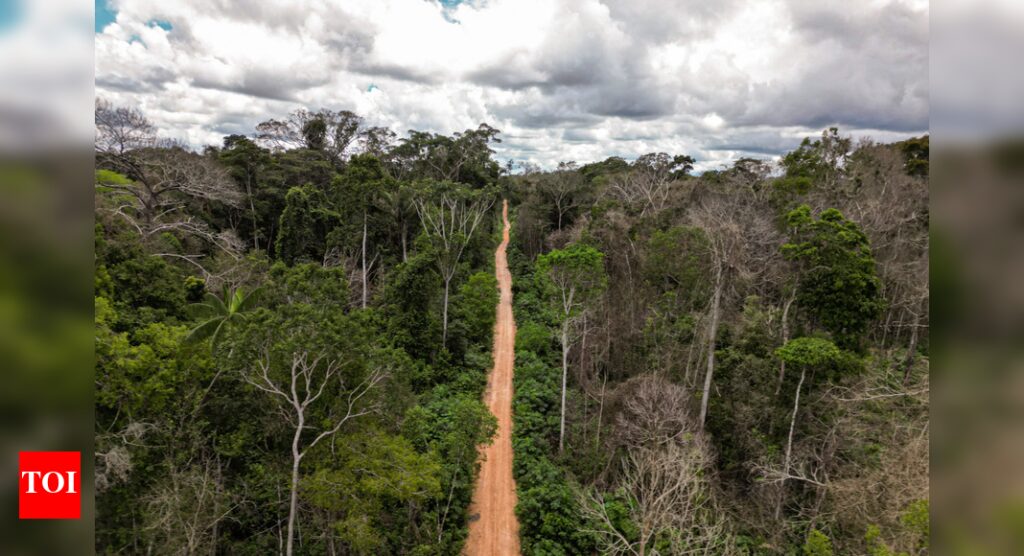 Pricing birdsong: EU mulls nature credits to help biodiversity
