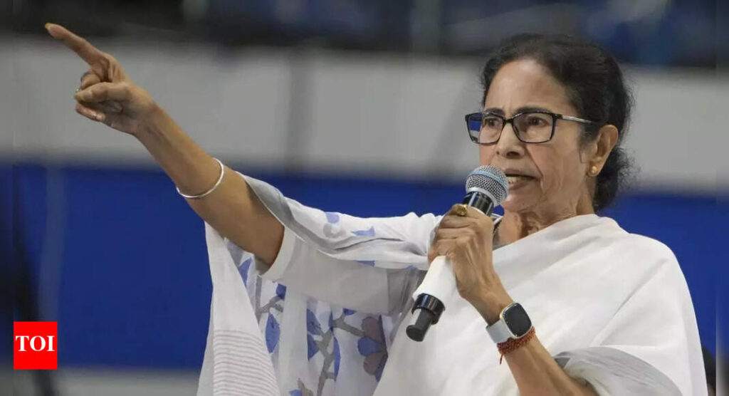 ‘Murshidabad violence was well planned,’ claims West Bengal CM Mamata Banerjee; blames BSF & BJP | India News