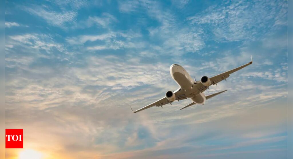 Government orders 100% pre-boarding checks for all flyers at all airports; steps up aviation security to higher level | India News