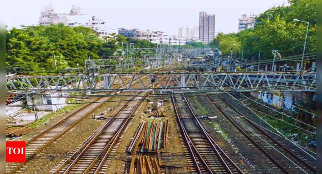 Revamped Carnac bridge in Mumbai expected to be ready by June despite delays | Mumbai News