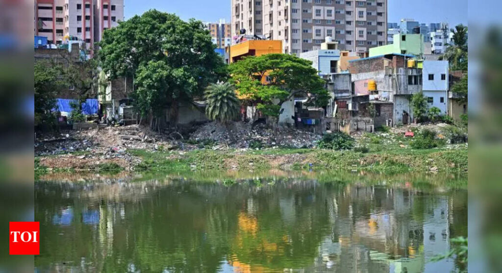 1,500cr plan to restore Adyar river runs into vote bank politics, as encroachments remain | Chennai News
