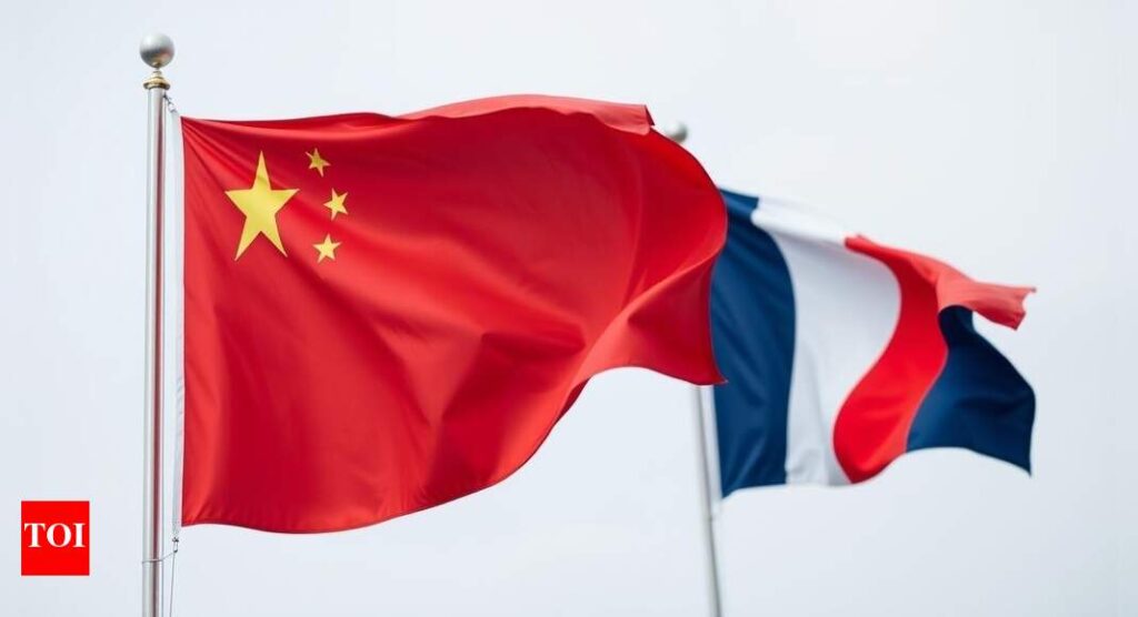 China urges a ‘more fair’ business environment in France | World News