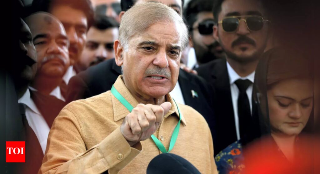 ‘Ready to talk for peace’: Pakistan’s PM Shehbaz Sharif’s offer to India | India News