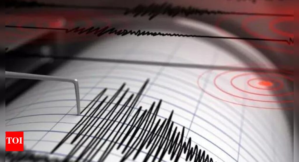 4.5 magnitude earthquake jolts China