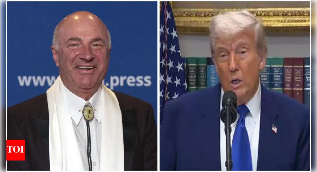 ‘That’s unprecedented’: Kevin O’Leary slams Donald Trump’s tax bill as ‘war on small business’