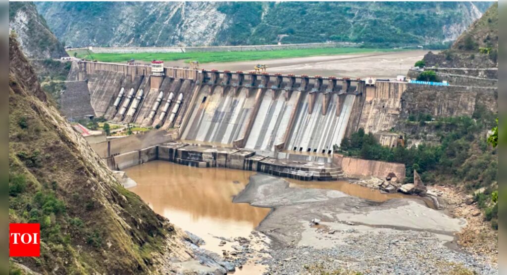 How India is planning to divert water from Indus river system, leave Pakistan high and dry | India News