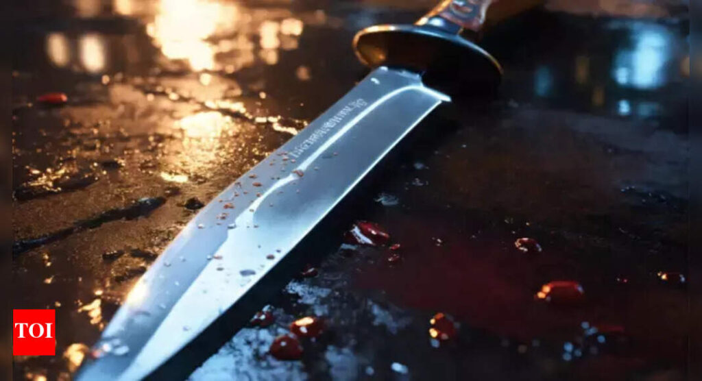 ‘Deep wounds on neck’: Bengaluru man kills wife in fit of rage | Bengaluru News