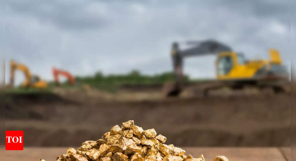 Michel Dupont: Farmer discovers gold worth €4 billion on his private land – here’s what happens next |