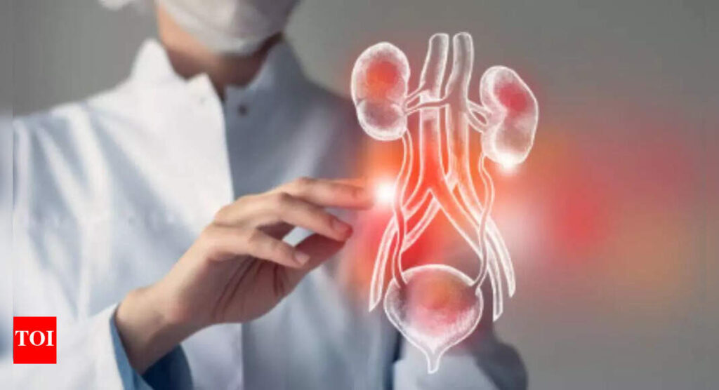 How to check if your kidneys are healthy |