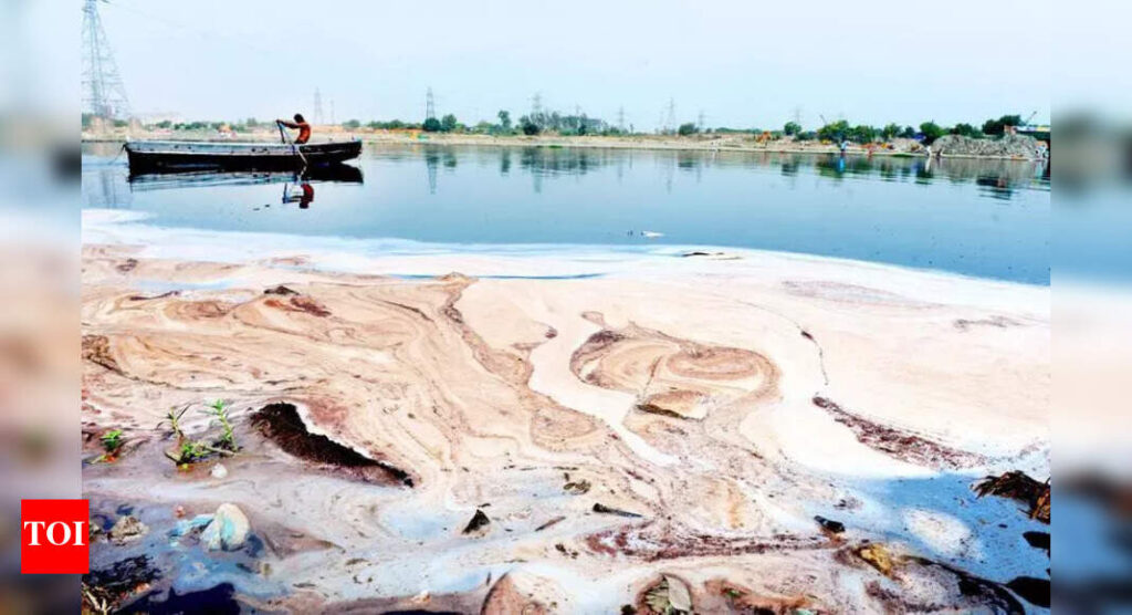 Dirty Water At Palla Raises A Stink | Delhi News