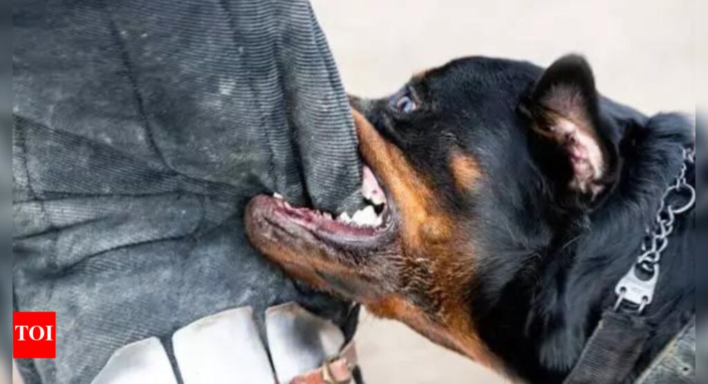 Mistaken identity sparks attack: Hyderabad bank executive assaulted, bitten by dog during recovery visit | Hyderabad News