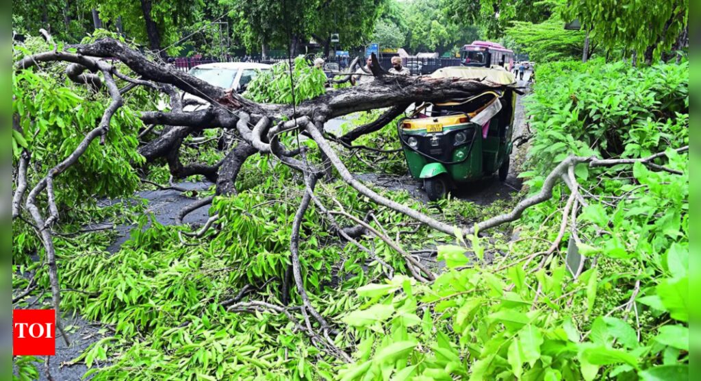 74kmph storm, rain leave 4 dead, and a trail of destruction across Delhi | Delhi News