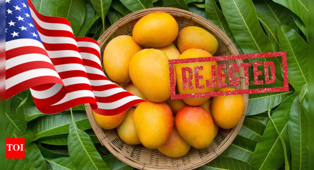 Forced to destroy! US rejects 15 mango shipments from India, exporters estimate losses of 0,000 | India Business News