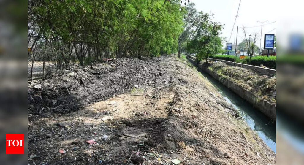 60km Road Along Najafgarh Drain To Boost Connectivity | Delhi News