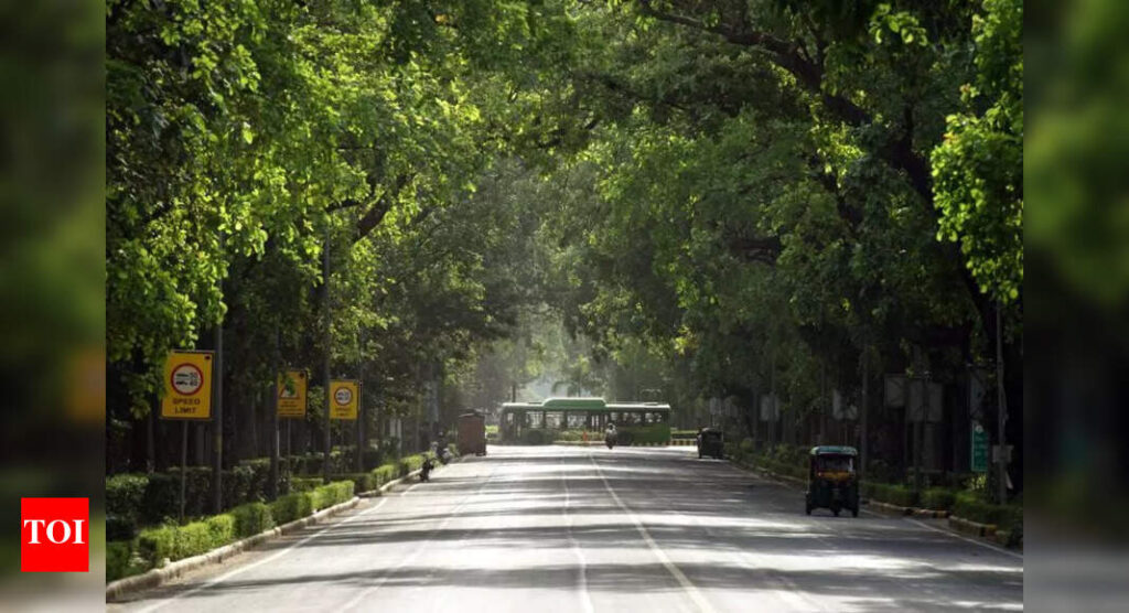 SC panel’s nod to Vasant Kunj housing project with tree rider | Delhi News