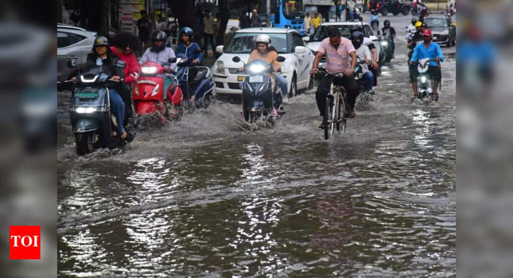 Bengaluru rain: New stormwater drain near Manyata, measures in Nagavara mooted | Bengaluru News