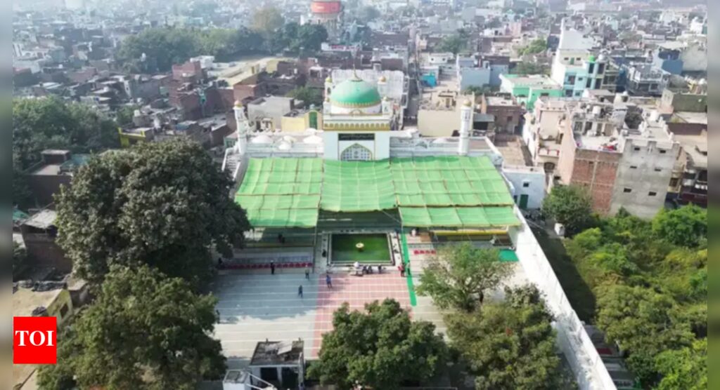 Sambhal mosque survey to continue as Allahabad HC rejects Muslim side’s plea for stay on trial court’s proceedings | Prayagraj News