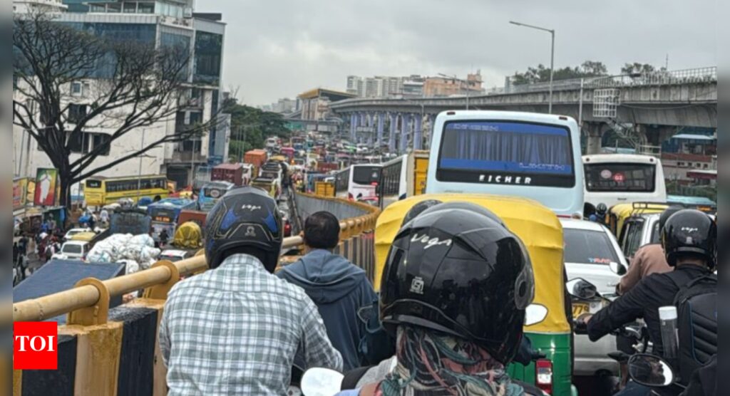 Bengaluru Rainfall: Pre Monsoon Flooding Causes Chaos, 1 Dead in Wall Collapse | Bengaluru News