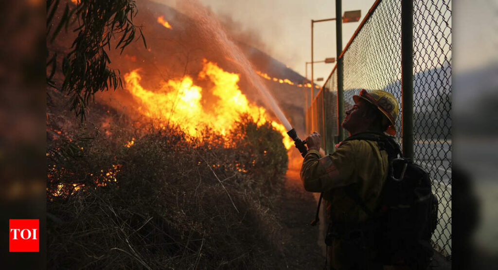 Can we learn to live with wildfires? |