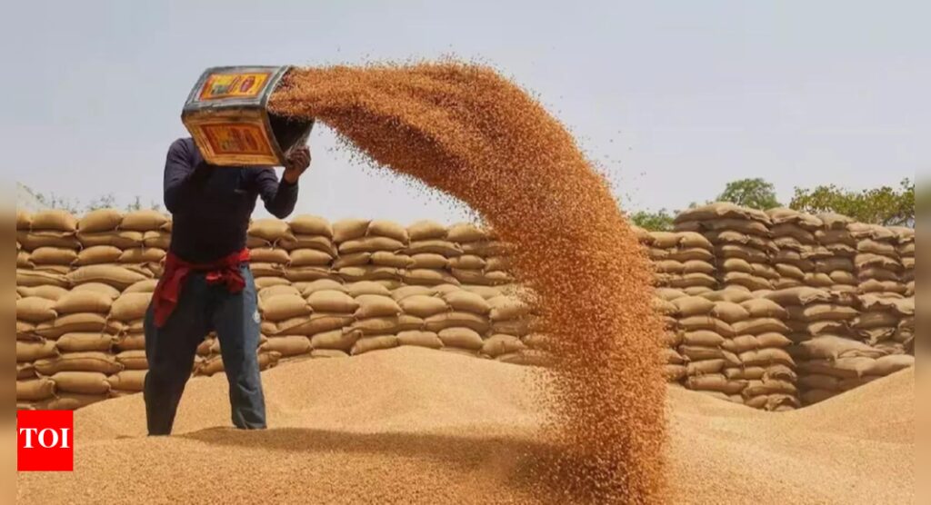 Govt wheat procurement so far this year 11% more than entire 2024 purchase | India News