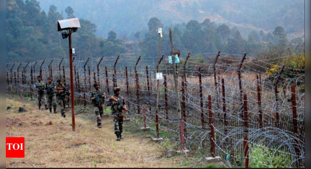 5 quizzed over disappearance of Nagpur woman near LoC village in Kargil