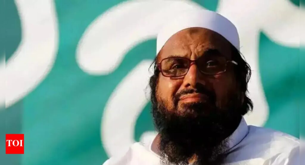 ‘US did it, why can’t Pakistan?’: Indian envoy demands Hafiz Saeed’s extradition | India News