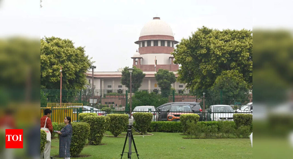 1-year jail not a prerequisite for bail to accused in laundering case: SC to ED | India News