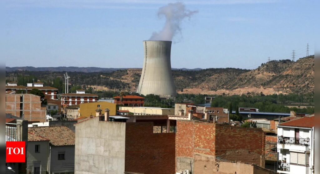What does the recent blackout tell us about renewables? | World News