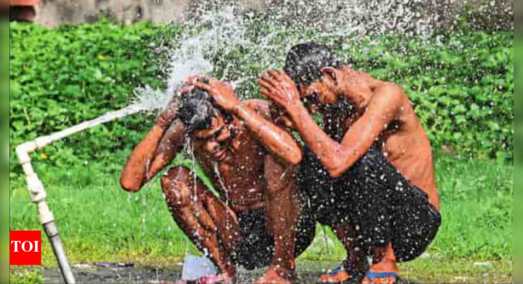 ‘Real feel’ heat rises to nearly 50°C in Delhi | Delhi News