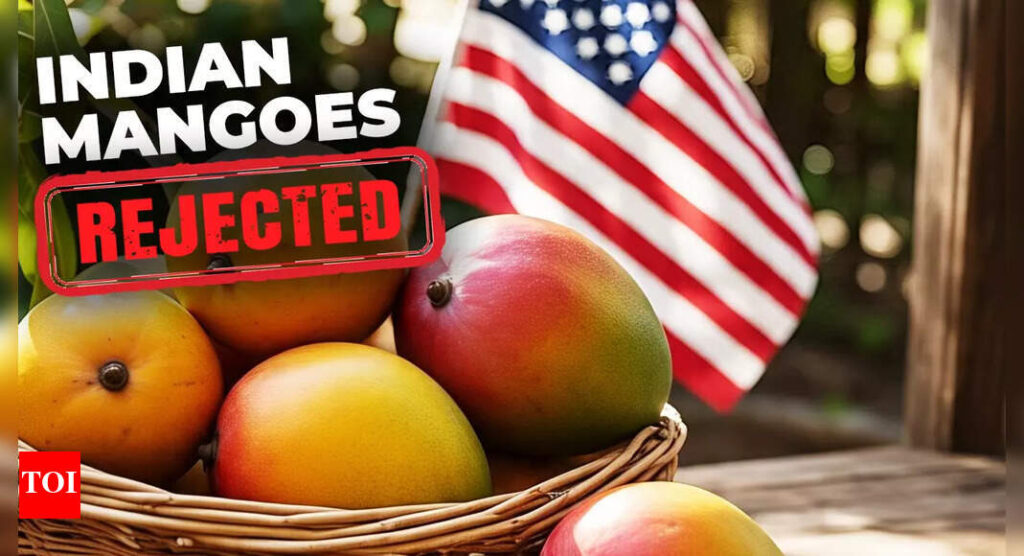 ‘Instead of discussing the matter…’: Row erupts over India’s mango exports rejection; authorities say US inspectors did not follow protocol