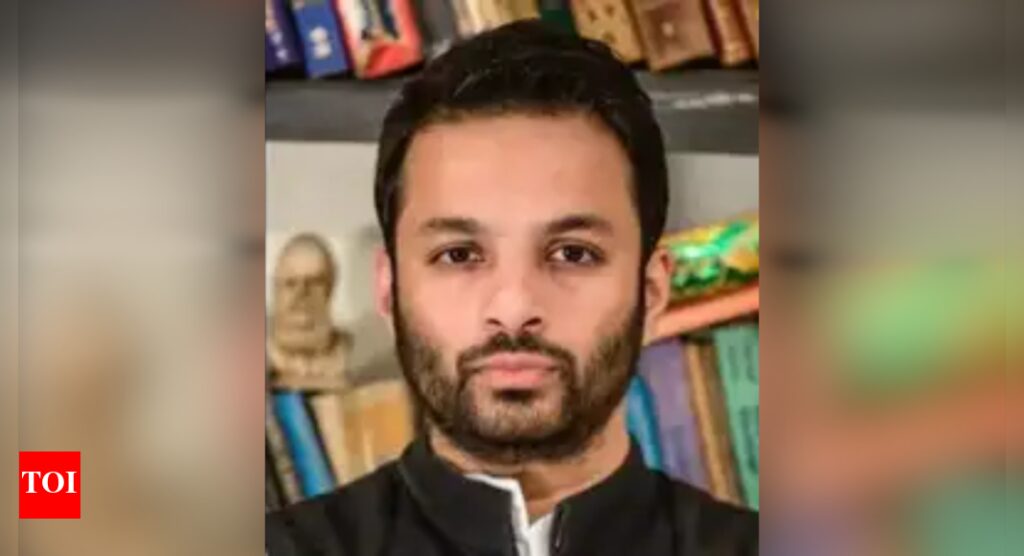 What does Ali Khan Mahmudabad teach at Ashoka University?