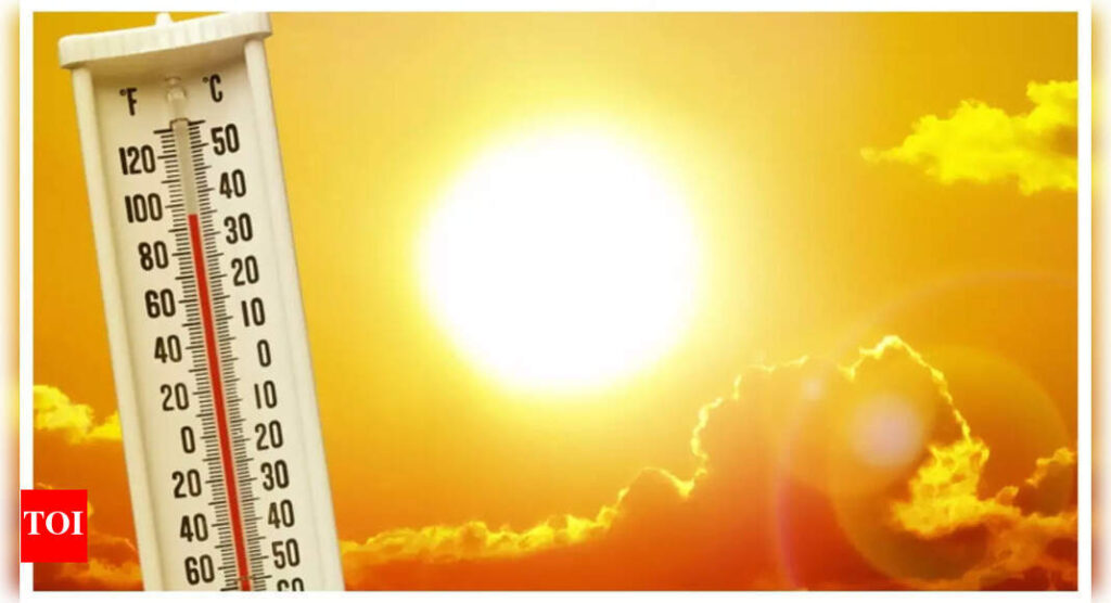 Heat Wave Safety Tips: Why Delhi “feels like” 50° at 40°, and how you can protect yourself against an impending heat wave |