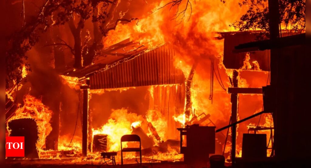 ‘Red alert’: Fires drive tropical forest loss to record high | World News