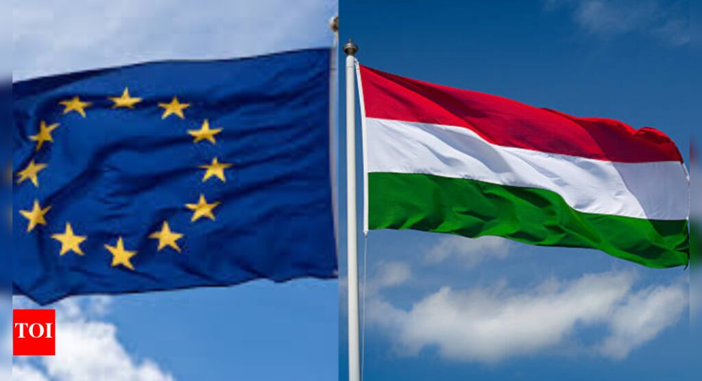 EU eyes action over Hungary’s planned Russia-style law | World News