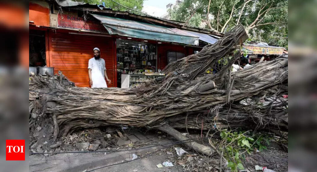 Gone with the wind? Why solution lies in going to root of the problem | Delhi News