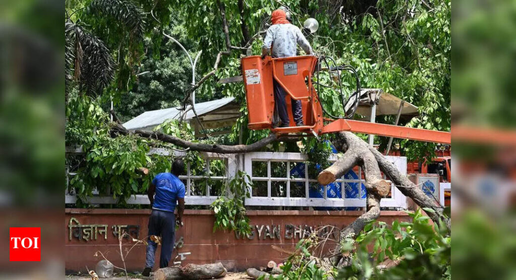 Fall In Line: SC Panel To Vet Cuts Or Transplants Of More Than 50 Trees | Delhi News