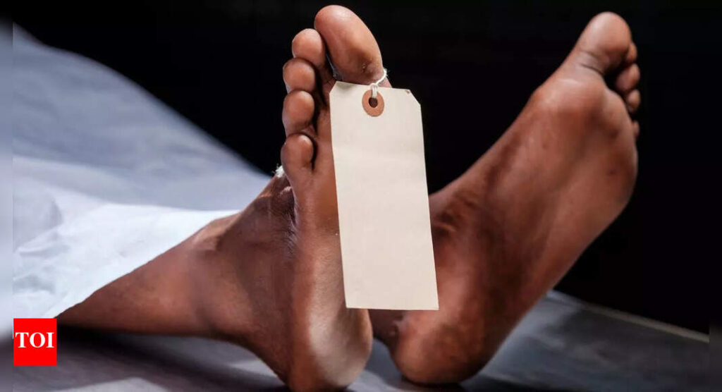 Is death just an illusion? Here’s what quantum physics reveals about life, death, and consciousness |
