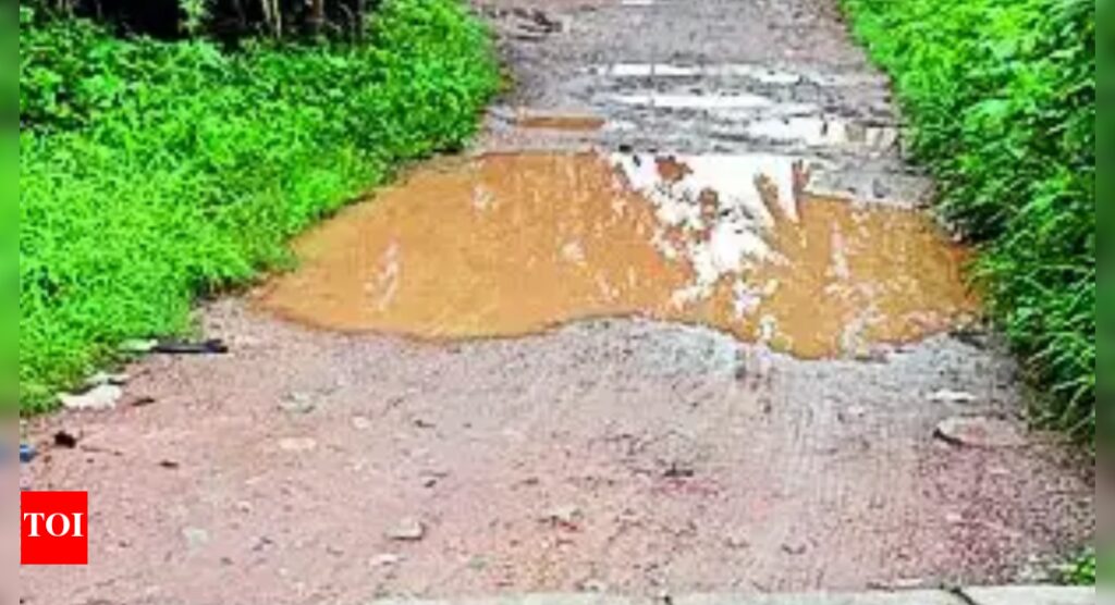 Not asking for luxuries, just basics like water, road: Bengaluru residents | Bengaluru News
