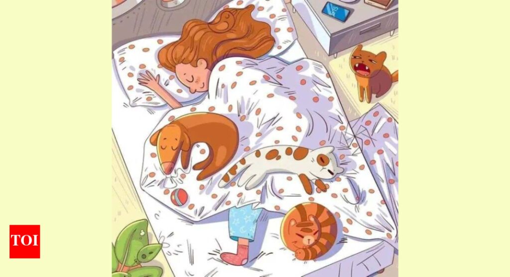 Optical Illusion: Only 2% people can spot the bee in this girl’s bedroom