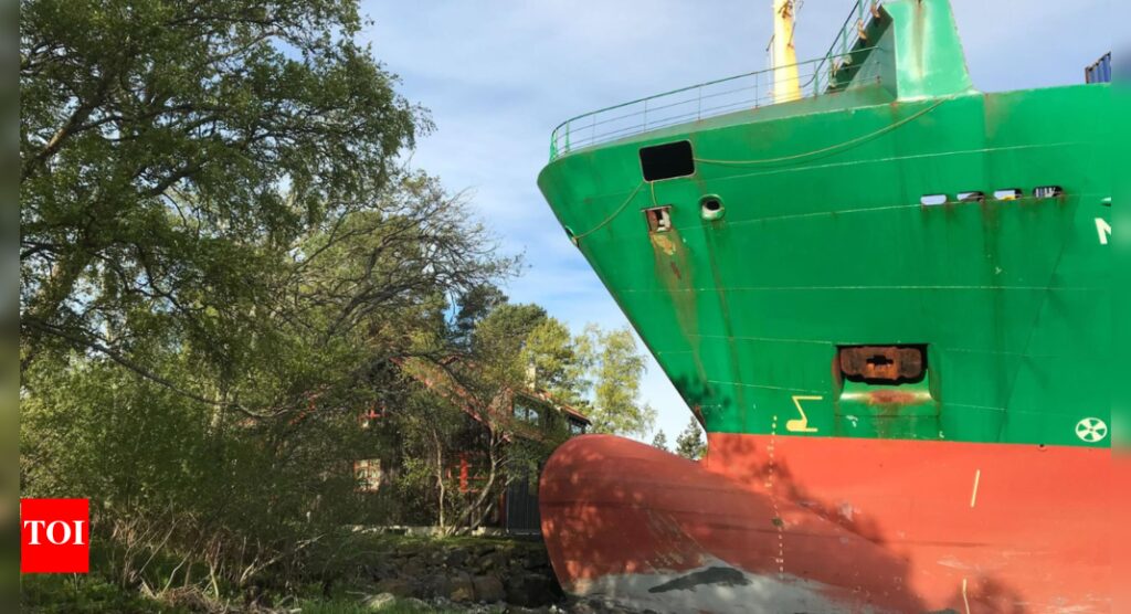 Norwegian man wakes to find container ship with 16 crew in his garden | World News