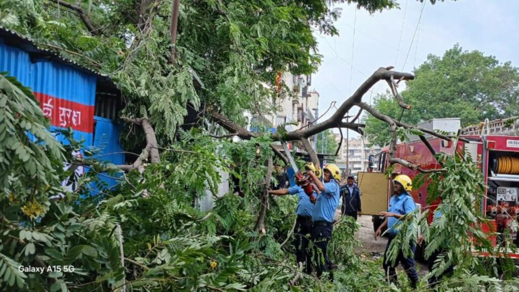 54 trees uprooted; wall and hoarding collapses reported